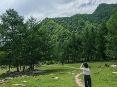 -狮子沟牧场