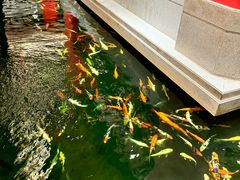 -龙悦湾酒家·八阵鱼生·渔人码头店