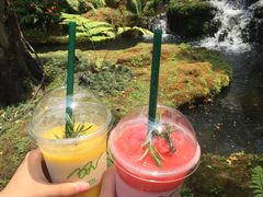-Chom Cafe and Restaurant