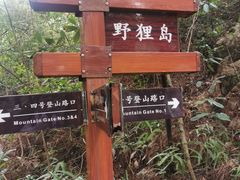 -野狸岛