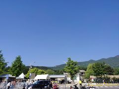 -北京西山国家森林公园