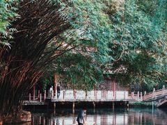 -棠湖公园