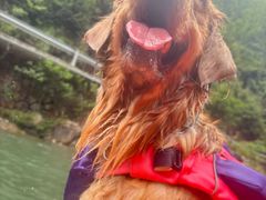 -安吉龙王山峡谷漂流