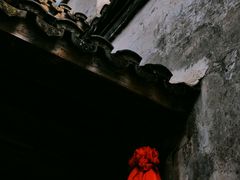 -乌镇东栅景区