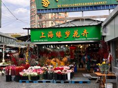 -曲阳花鸟市场(曲阳路店)