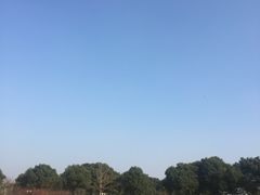 -旭宝高尔夫俱乐部