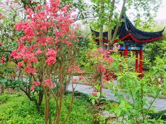 -南汇桃花村