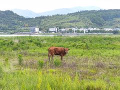 -四明湖