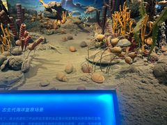 -天津自然博物馆