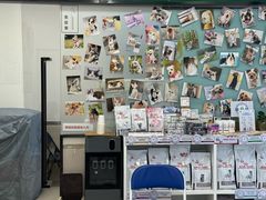 -爱妮康宠物医院·干细胞免疫细胞·肿瘤·心脏(张江店)