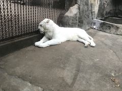 -南昌动物园