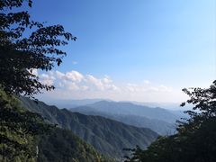 -王顺山国家森林公园