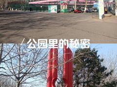 -朝阳公园游乐园