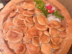 -季季山·云南野生菌火锅(上海首店)