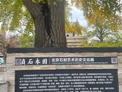 -北京石刻艺术博物馆(五塔寺)