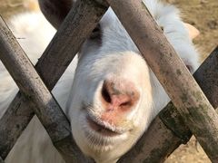 -长兴太湖图影湿地文化园