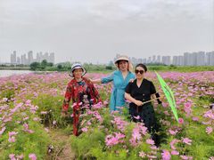 -汉江湾体育公园