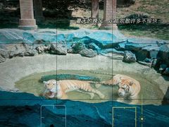 -杭州野生动物世界