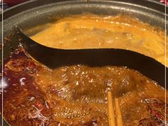 -生活如沸·顺德水牛奶火锅(大学路店)