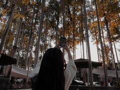 -桉树林A coffee 森林餐厅(三圣乡店)