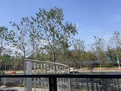 -宝荣鱼馆·临湖之宴(千岛湖店)