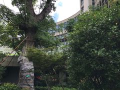 -江苏省人民医院(广州路院区)