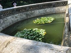 -习家池