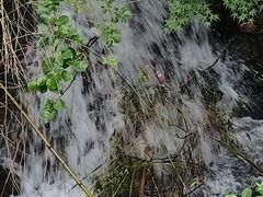 -水绘园
