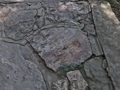-无染寺