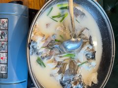 野生千岛湖鱼头-丰乐餐厅·始于1999·本地老字号