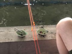 -会江钓鱼钓虾烧烤场