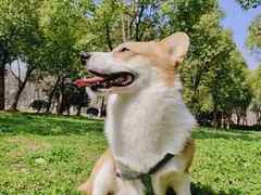 -天鹅湖体育公园