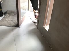 -Again Coffee Roaster(香蜜湖店)