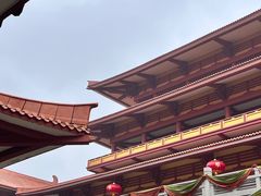 -三水森林公园