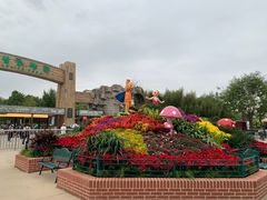 -北京野生动物园