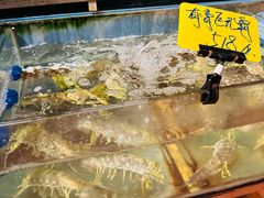 -辉记炭烧海鲜大排档·老字号(福田店)