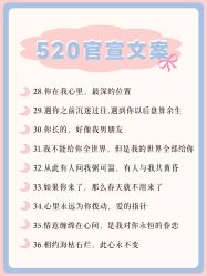 点击看大图 -CD视觉婚纱摄影