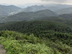 -武陵山森林公园