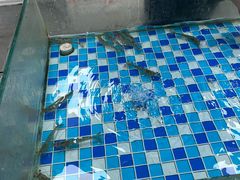 -养牛邓·潮汕牛肉海鲜自助火锅(广州店)