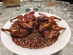 大红袍乳鸽王-朱记乳鸽王·非遗石岐乳鸽·全鸽宴(大兴旗舰店)