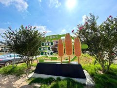 -黄埔油麻山森林公园