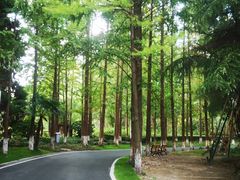 -苏州河梦清园环保主题公园