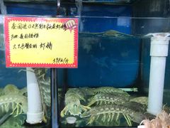 -蚝专家(北滘店)