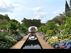 -深圳仙湖植物园