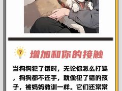 -瑞鹏宠物医院犬猫全科(真大分院)
