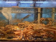 -上座·餐厅(阳光100店)