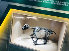 -辽宁古生物博物馆