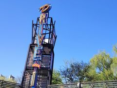 -枫花园汽车电影院(朝阳公园店)