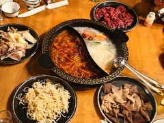 -小志家.野生菌鲜切牦牛肉牛杂火锅