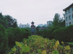 -四川大学(华西校区)